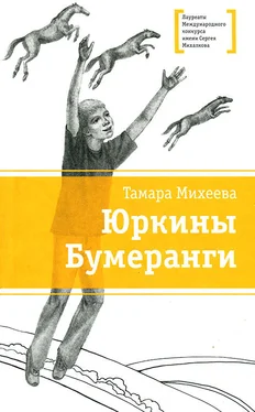 Тамара Михеева Алька обложка книги