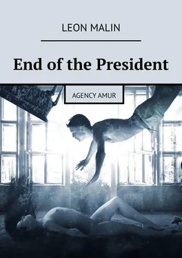 Leon Malin End of the President. Agency Amur обложка книги