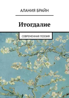 Алания Брайн Итогдалие. Современная поэзия обложка книги