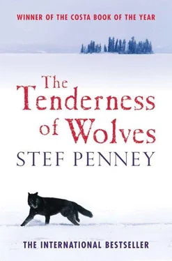 Stef Penney The Tenderness of Wolves обложка книги