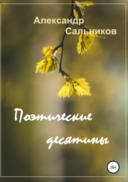 Александр Сальников Поэтические десятины. Лирика обложка книги