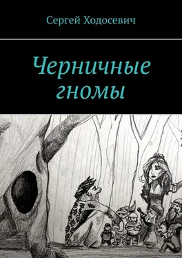 Сергей Ходосевич Черничные гномы обложка книги