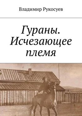 Владимир Рукосуев Гураны. Исчезающее племя обложка книги