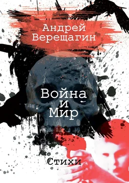 Андрей Верещагин Война и мир. Стихи обложка книги