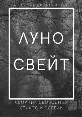 Александр Ракитин Луносвейт. Сборник свободных стихов и элегий обложка книги