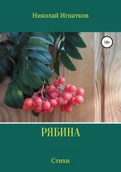 Николай Игнатков - Рябина. Сборник стихотворений