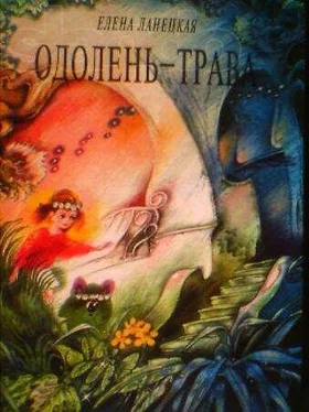 Елена Ланецкая Одолень-трава обложка книги