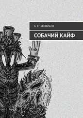 А. К. Замараев - Собачий кайф