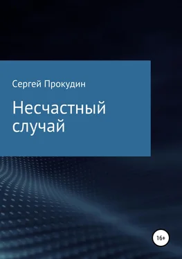 Сергей Прокудин Несчастный случай обложка книги