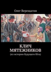 Олег Верещагин - Клич мятежников. Из истории будущего Юга