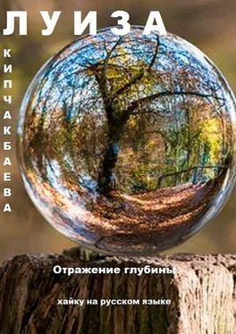 Луиза Кипчакбаева Отражение глубины. Хайку на русском языке обложка книги