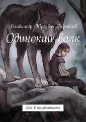 Владимир Боровлёв - Одинокий волк. Бег в неизвестность