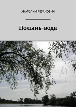 Анатолий Резанович Полынь-вода обложка книги