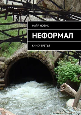 Майя Новик Неформал. книга третья обложка книги