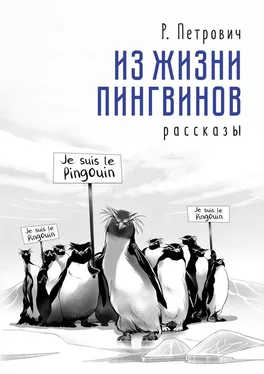 Р. Петрович Из жизни пингвинов. Рассказы обложка книги