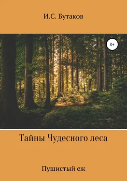 Иван Бутаков Тайны Чудесного леса. Пушистый ёж обложка книги