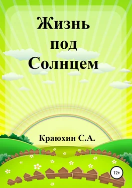 Сергей Краюхин Жизнь под Солнцем обложка книги