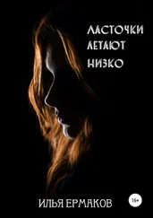 Илья Ермаков - Ласточки летают низко