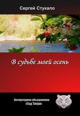 Сергей Стукало В судьбе моей осень... обложка книги