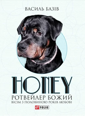 Василь Базів Honey, ротвейлер Божий обложка книги