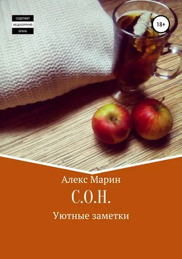 Алекс Марин С.О.Н. Уютные заметки обложка книги