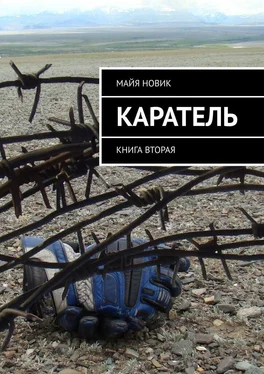 Майя Новик Каратель. Книга вторая обложка книги