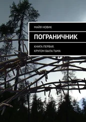 Майя Новик - Пограничник. Книга первая. Кругом была тьма