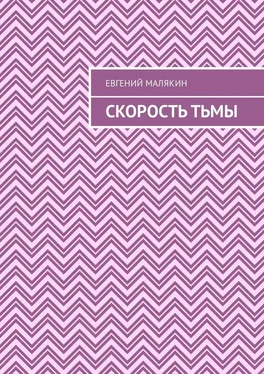 Евгений Малякин Скорость тьмы обложка книги