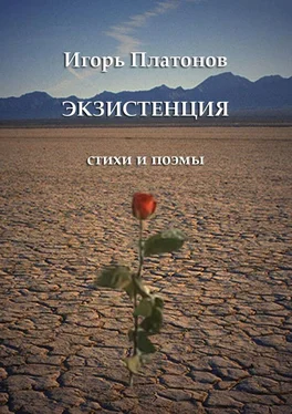 Игорь Платонов Экзистенция. Стихи и поэмы обложка книги