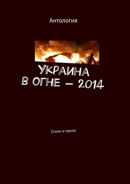 Лека Нестерова Украина в огне – 2014. Стихи и проза обложка книги