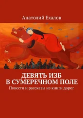 Анатолий Ехалов - Девять изб в сумеречном поле. Повести и рассказы из книги дорог