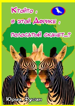 Юрий Русин Ктойто, в этой Африке, полосатый скачет…? обложка книги