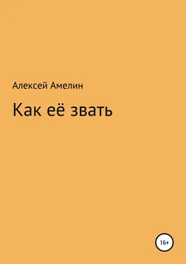 Алексей Амелин Как её звать обложка книги