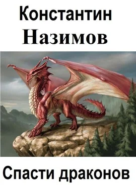 Константин Назимов Спасти драконов обложка книги