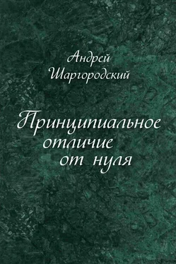 Андрей Шаргородский Принципиальное отличие от нуля (сборник) обложка книги