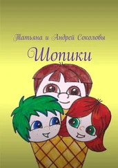 Андрей Соколов - Шопики