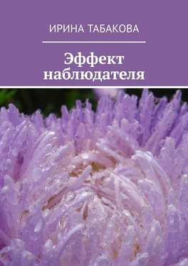 Ирина Табакова Эффект наблюдателя. Жизненная зарисовка обложка книги