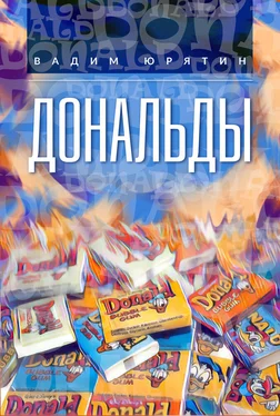 Вадим Юрятин Дональды обложка книги