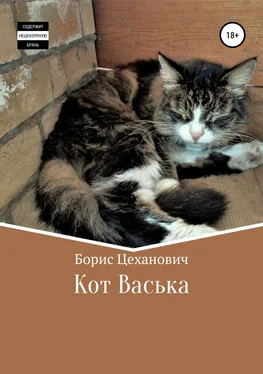 Борис Цеханович Кот Васька обложка книги