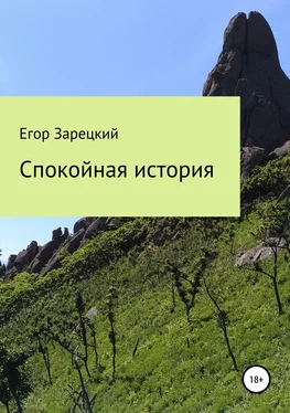 Егор Зарецкий Спокойная история обложка книги