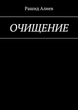 Рашид Алиев Очищение обложка книги