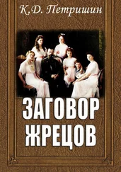 Константин Петришин - Заговор жрецов