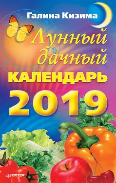 Галина Кизима Лунный дачный календарь на 2019 год обложка книги