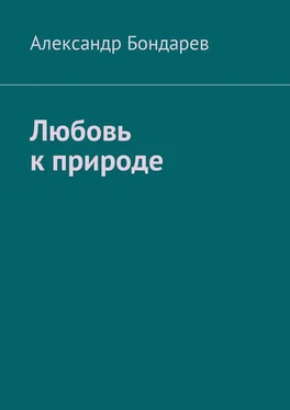 Александр Бондарев Любовь к природе обложка книги