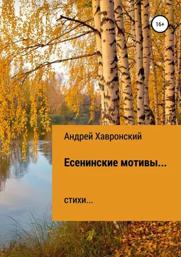 Андрей Хавронский Есенинские мотивы… Сборник стихотворений обложка книги
