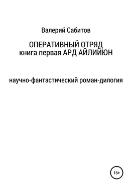 Валерий Сабитов Оперативный отряд. Книга первая. Ард Айлийюн обложка книги