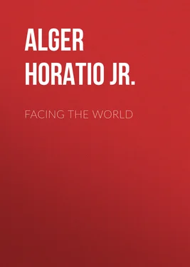 Horatio Alger Facing the World обложка книги