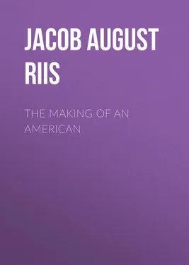 Jacob August Riis The Making of an American обложка книги