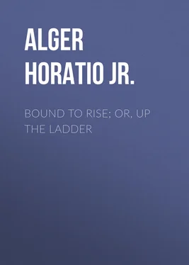Horatio Alger Bound to Rise; Or, Up the Ladder обложка книги