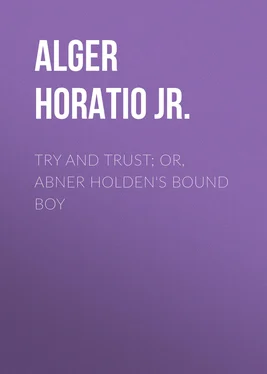 Horatio Alger Try and Trust; Or, Abner Holden's Bound Boy обложка книги